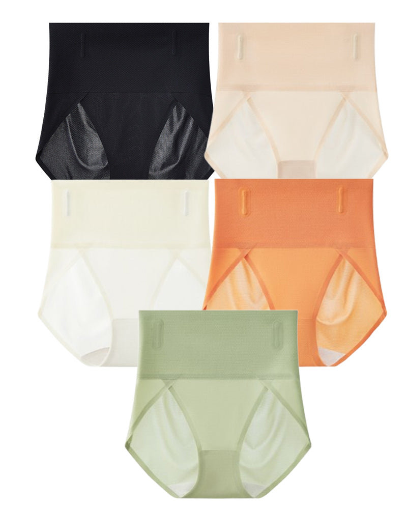 Super High Cut Brief Panties